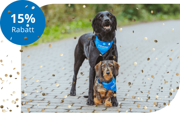 Hoeveler Dog Juli Aktion Banner 15Prozent